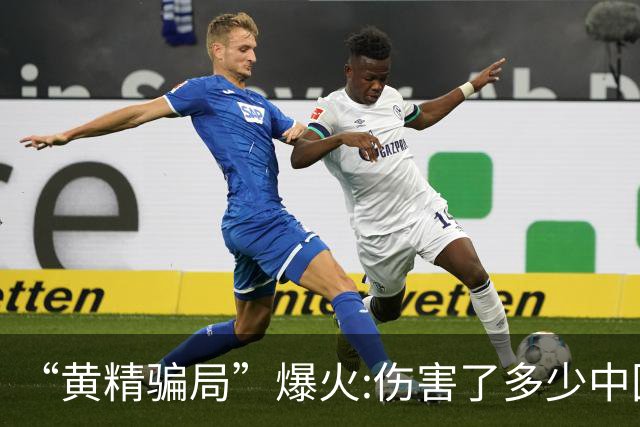 “黄精骗局”爆火:伤害了多少中国人……