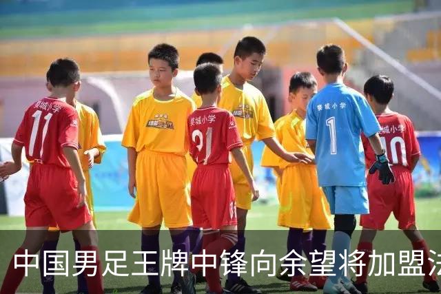 中国男足王牌中锋向余望将加盟法甲里昂，欢乐与谣言并存
