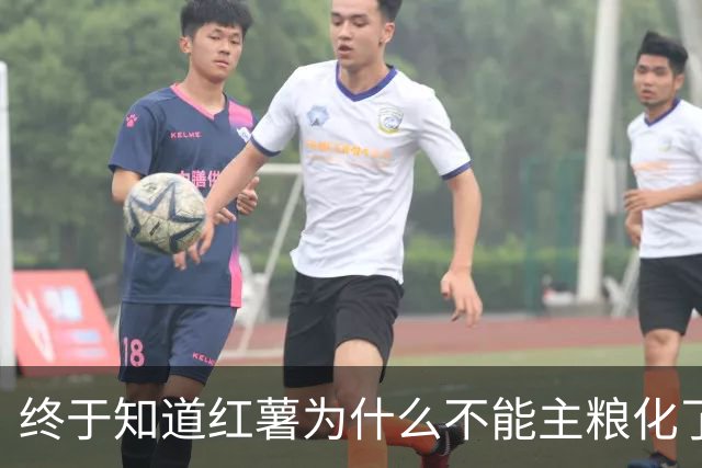 终于知道红薯为什么不能主粮化了，网友道出真相引万人共鸣！